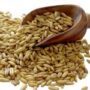 gluten free oats whole grain