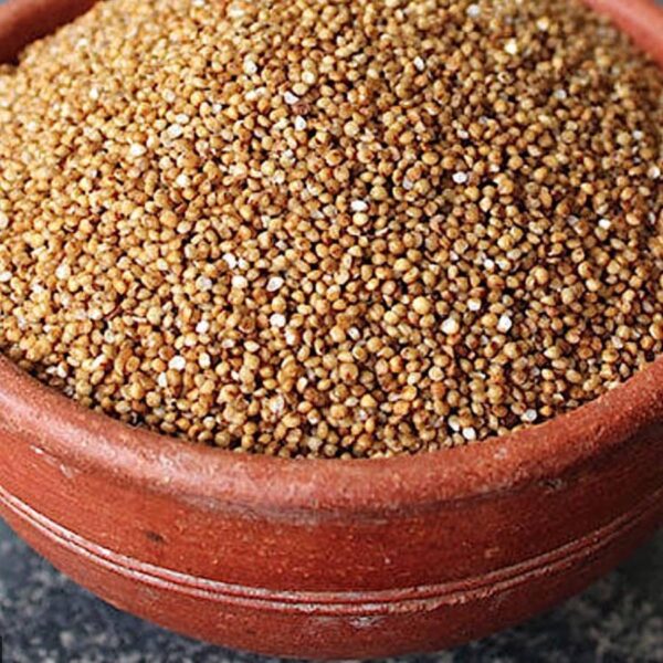 kodo millet kodra seeds