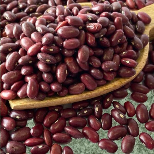 rajma sharmili kidney beans