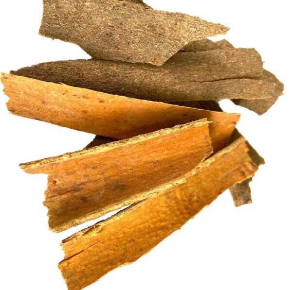 cinnamon dalchini Indian