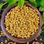 fenugreek seeds methi dana