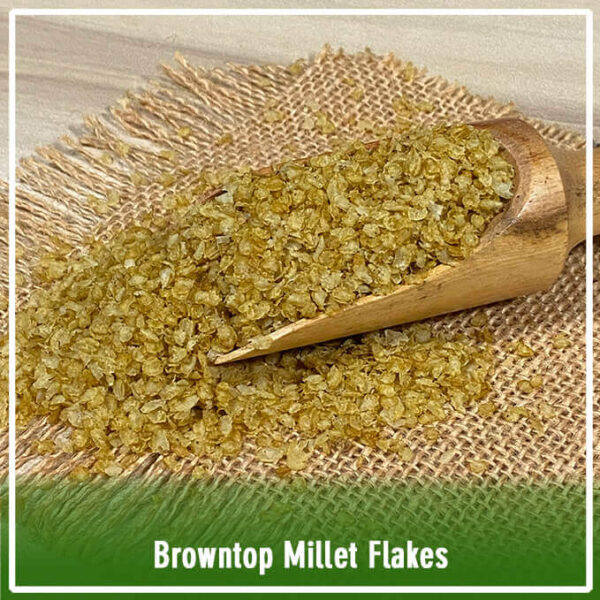 Brown Top Millet flakes - Image 3