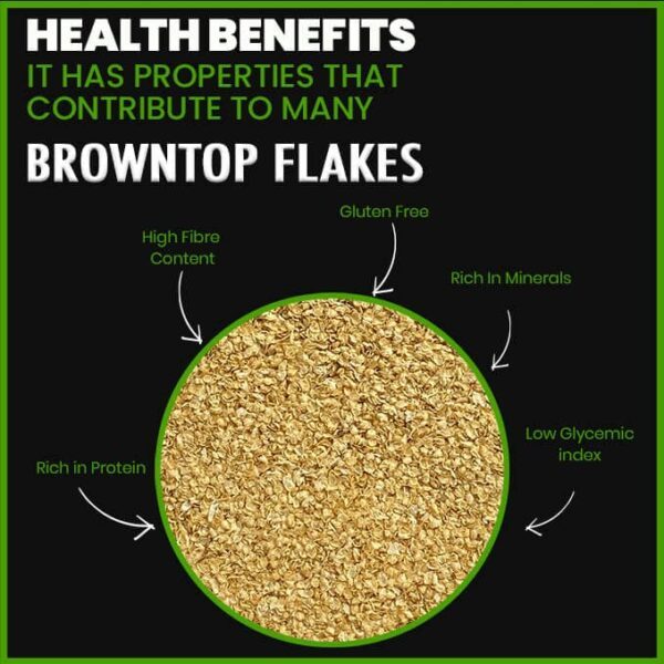 Brown Top Millet flakes - Image 4